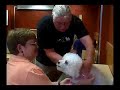 Dog massage