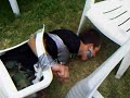 Kodi gets taped up