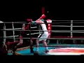 boxe-anglaise-Morgan