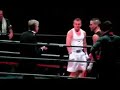 boxe-anglaise-Morgan