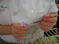 Decorating fondant flowers