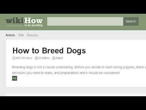 how to obtain papers for a dog