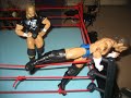 wwl world title cm punk vs triple h wwl world title cm punk vs triple h