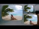 Antigua & Barbuda 2008