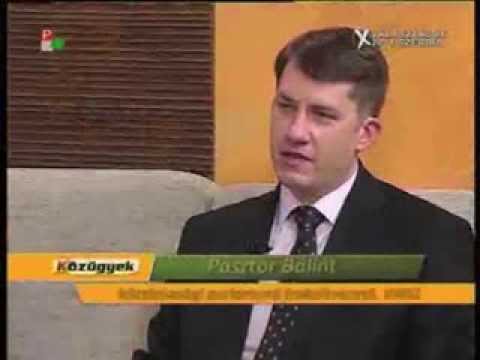 Közügyek - Pásztor Bálint ismertette a VMSZ programját -cover