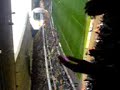 wolves v saints