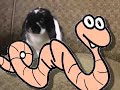 Rabbit Bites: Dana Snyder of Aqua Teen Hunger Force Rabbit Bites: Dana Snyder of Aqua Teen Hunger Force