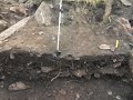 Västergötland: Gånggriften Firsesten i Falköping 7