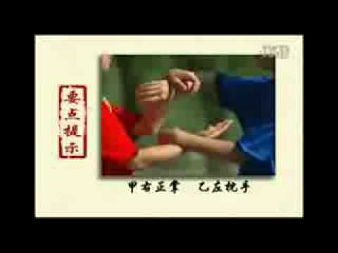 Aula onlline kung fu wing chun