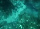 Under Water Freestyle Harpooning in Greece