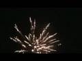 videos de golden flash brocade