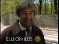 Hele Laks - sebra