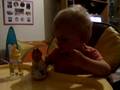 videos de ma puce