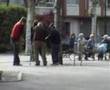 Hans talegazo en muletas