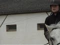 CSO vouneuil/ biard --Salomé-- logis du poney CSO vouneuil/ biard --Salomé-- logis du poney