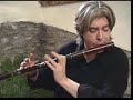 Irish music Seamus Egan Reel
