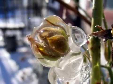 The beautiful danish sceneryYoutube(ユーチューブ・ゆーちゅーぶ)・Dailymotion動画