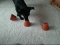 12.2009-7 Blumentöpfe WMV.WMV