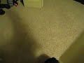 Coco playing with hos blanket