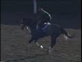 2008 Breeders' Cup The Works:  Zaftig
