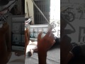 Video Bokep korea Video Bokep korea