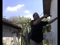 le minacce di un boss (pt3) le minacce di un boss (pt3)
