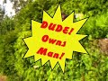 Over the Hedge Part 2