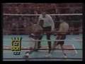 Real Boxers Mexicanos (Since 1900-2008+)