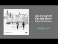 Sasha featuring. Krister Linder - Cut Me Down (Layo & Bushwacka! Remix)