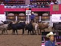 2008 Summer Cutting Non-Pro Derby