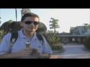 17/23 USA Travel San Diego Zoo-California(On the Road) pesaro