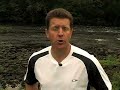 Gnats (Black Flies)