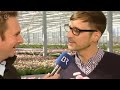 Rundschau - Frühling in der Gärtnersiedlung