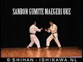 Wado Karate DVD Shihan Ishikawa content impression