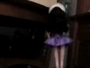 The Barbie Surprise