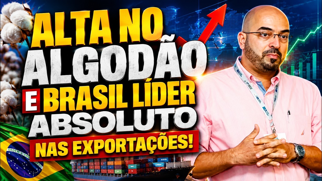 Alta no algodão e Brasil líder absoluto nas exportações!