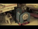 Keenan pissing off Nala