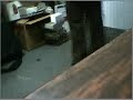 Comedy Potty Dance