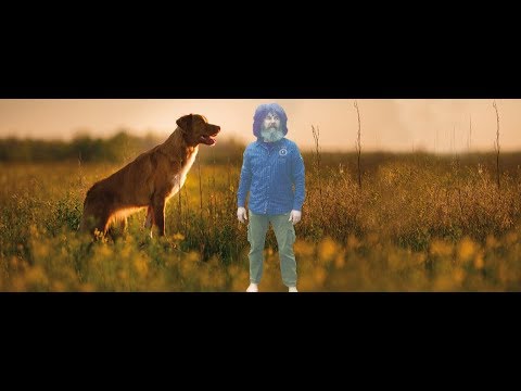 Die Gelenke - Arthrose und Arthritis beim Hund