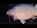 Quest Baits - Laroussi Session Quest Baits - Laroussi Session