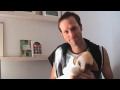 Swedish father seeking 'Danish mother seeking'-spoof
