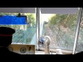 名鉄　モンキーパークモノレール線　成田山～動物園