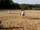 parcours de barel ! parcours de barel !