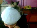 Shiru y 3l gatito flash....