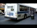 MTA Bus : Orion V CNGs 9856, 9918 & 9979 On The Q25, Q65 & Q34 @ Kissena Blvd