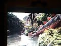Jurrasic Park (the ride)