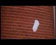 American Beauty - Scena della Busta
