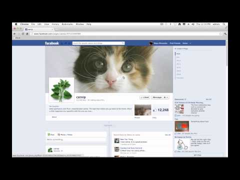 how to on facebook timeline