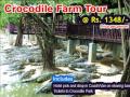 Things to do in Thailand- Thailand Sightseeing Tours & Travel Packages from Dpauls at best price...