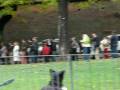 videos de Lucca Comics & Games 2008: Fila per il bigliettto